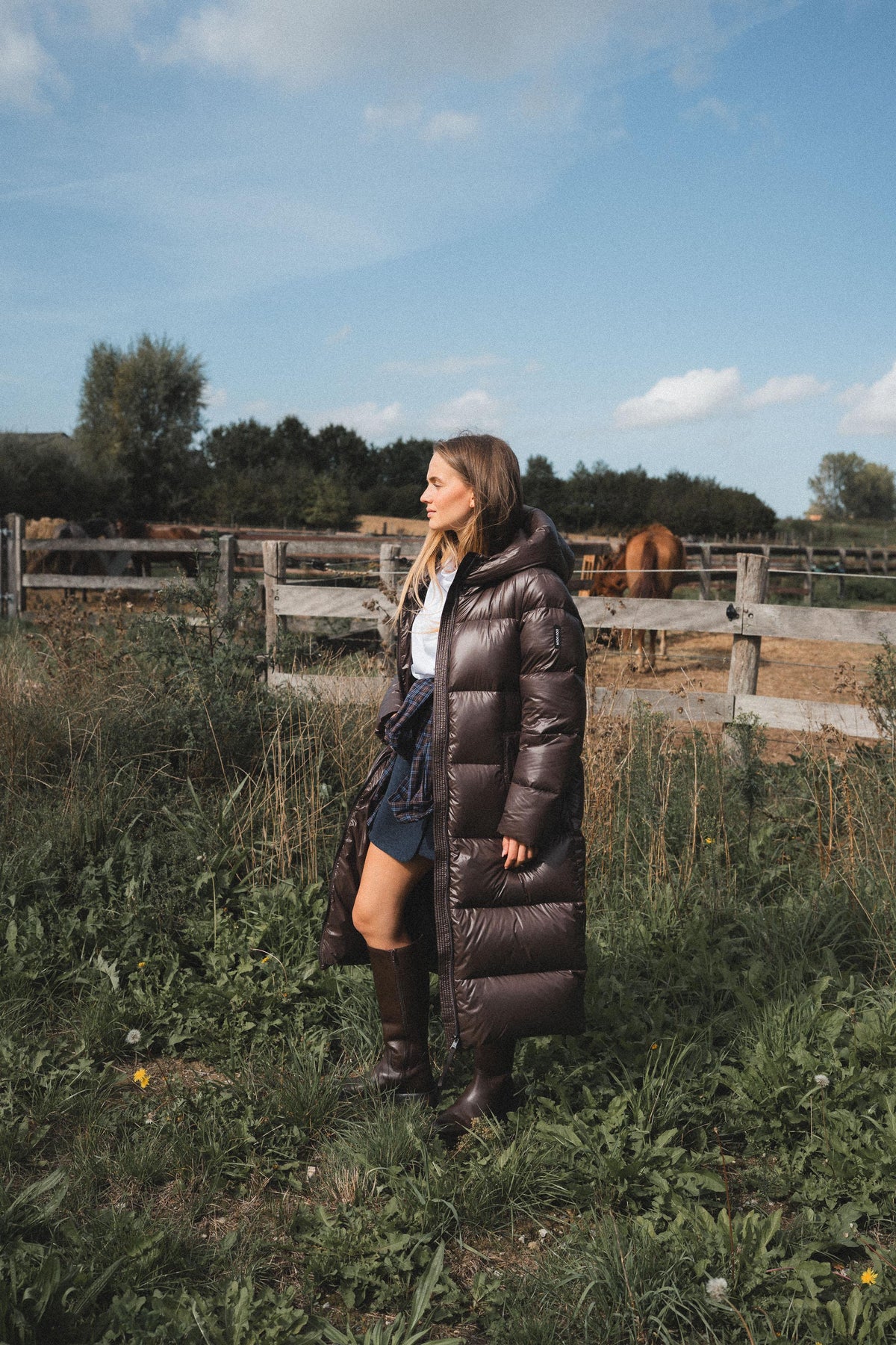 LONDON - Pufferjacket - Brown